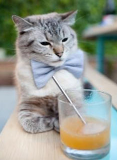 LPL解说天团：谁是你最喜欢的解说？，lpl解说是哪个公司的